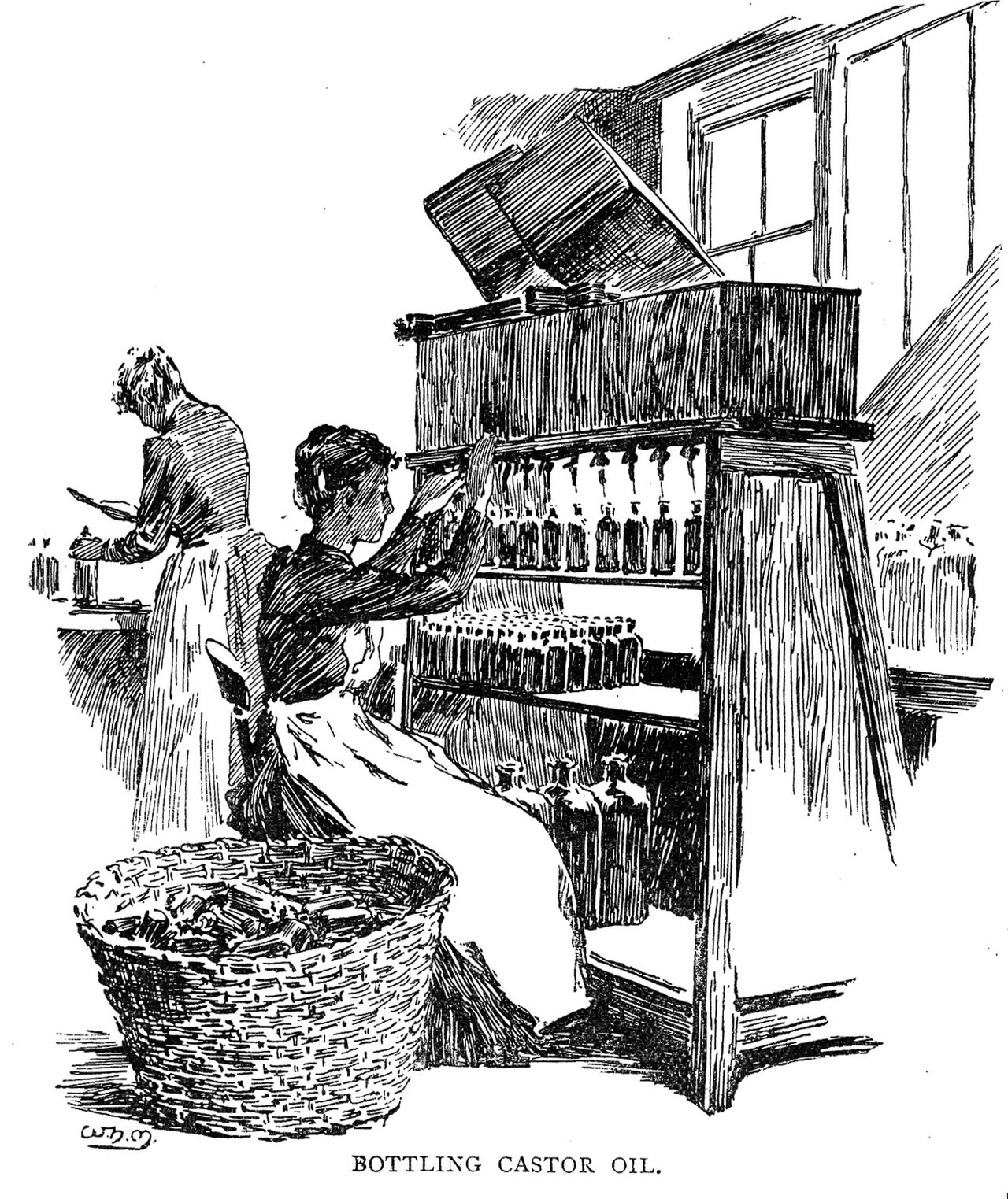 Huile de ricin pour les cheveux : bienfaits et comment l'utiliser (pousse, force, barbe)