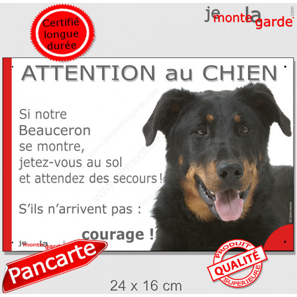 Les 8 mots magiques qui font fondre le cœur de votre chien