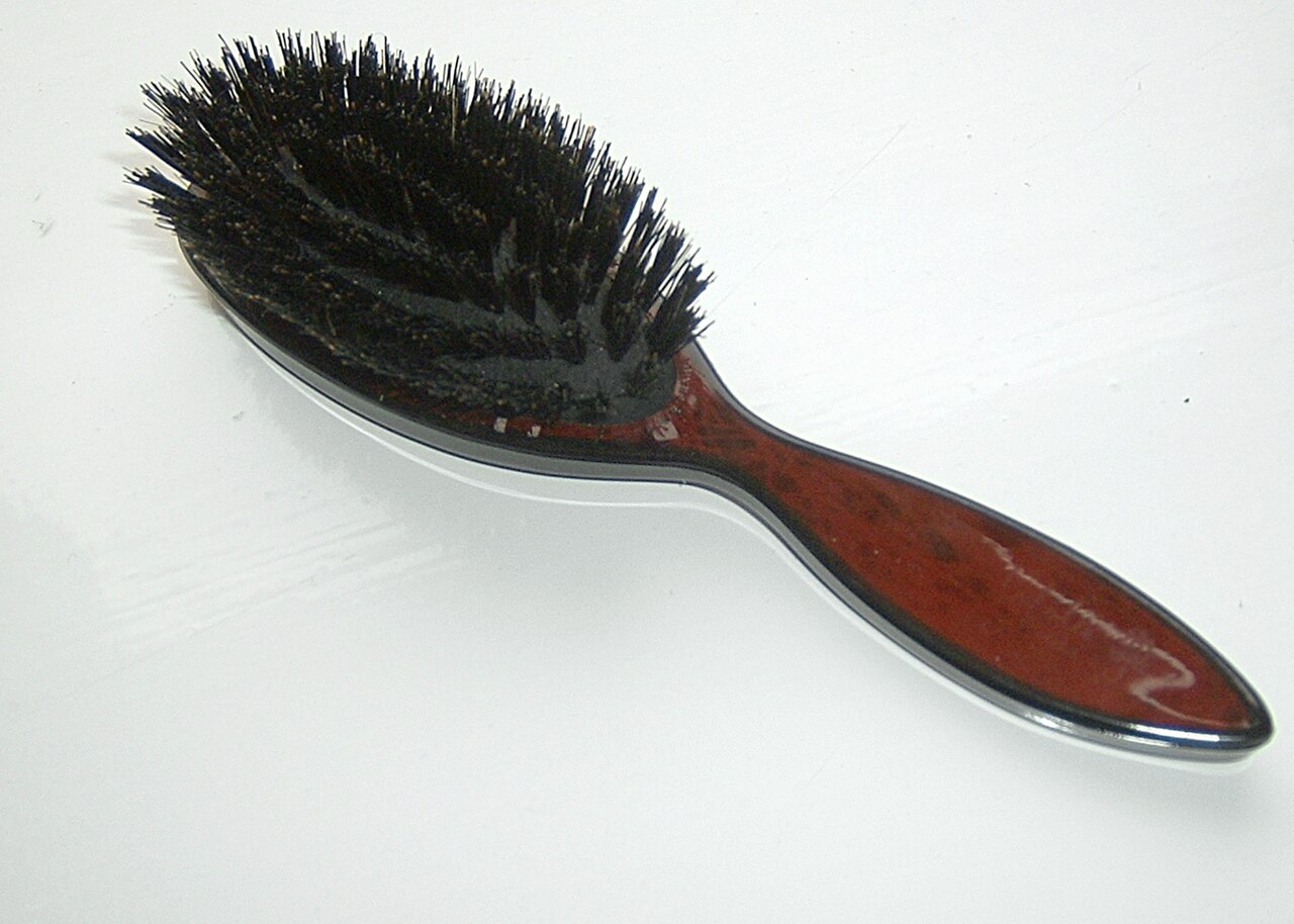 Meilleure brosse soufflante 2026 : comparatif des 8 meilleures (Dyson, Shark, Babyliss, Rowenta)